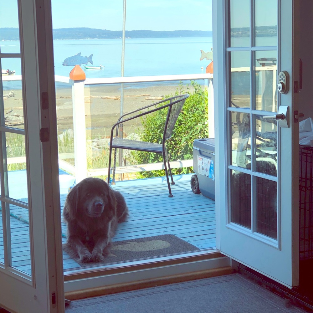 Meet your Posher, Laci